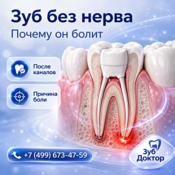 Зуб без нерва болит: откуда берётся боль